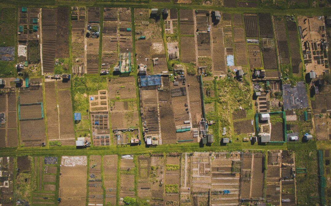 Sky view of an allotment site