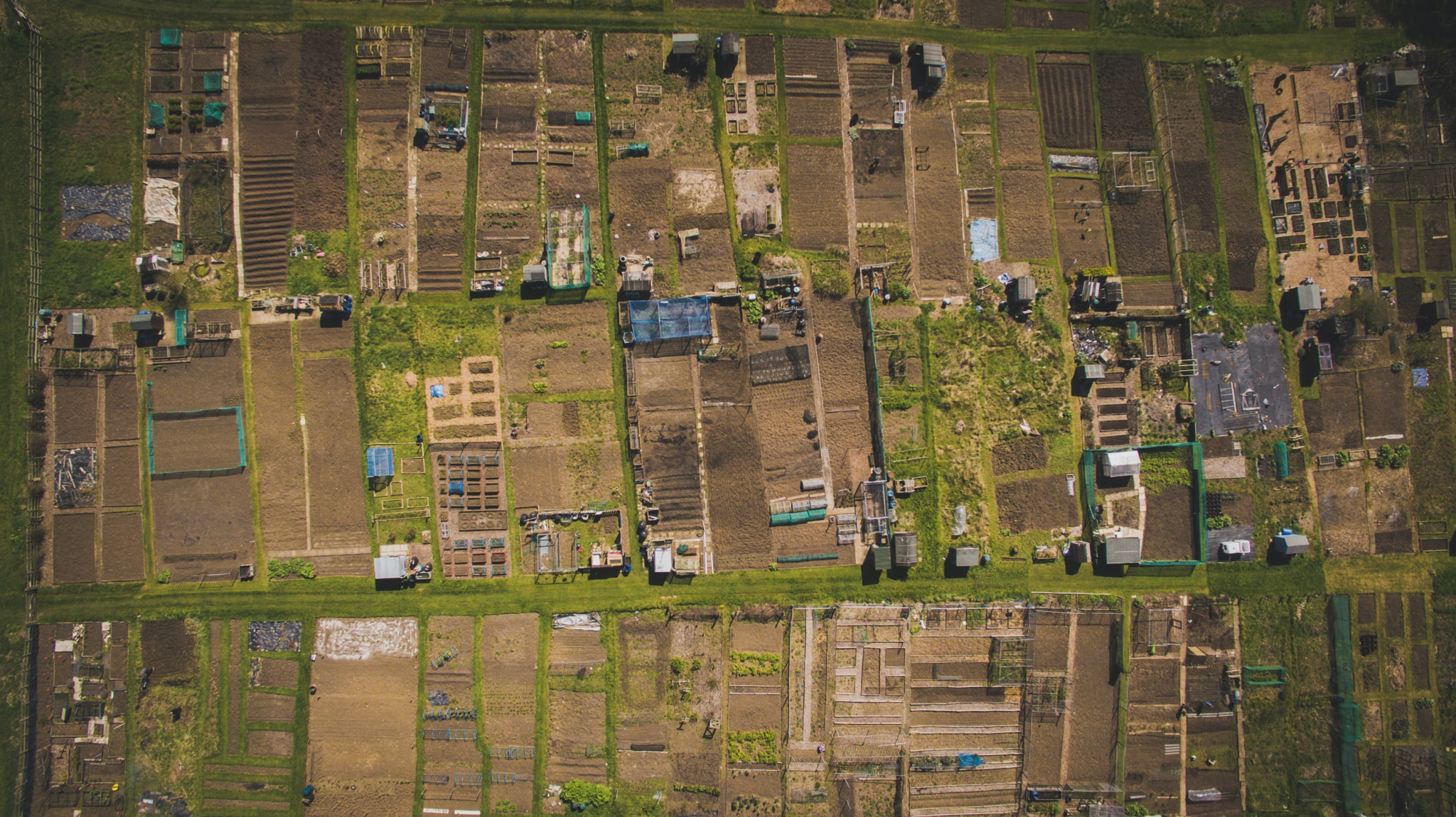 Available Allotment Plots