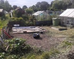 Levelled and partially cleaned allotment 